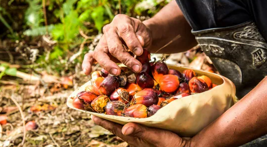 Industri Kelapa Sawit