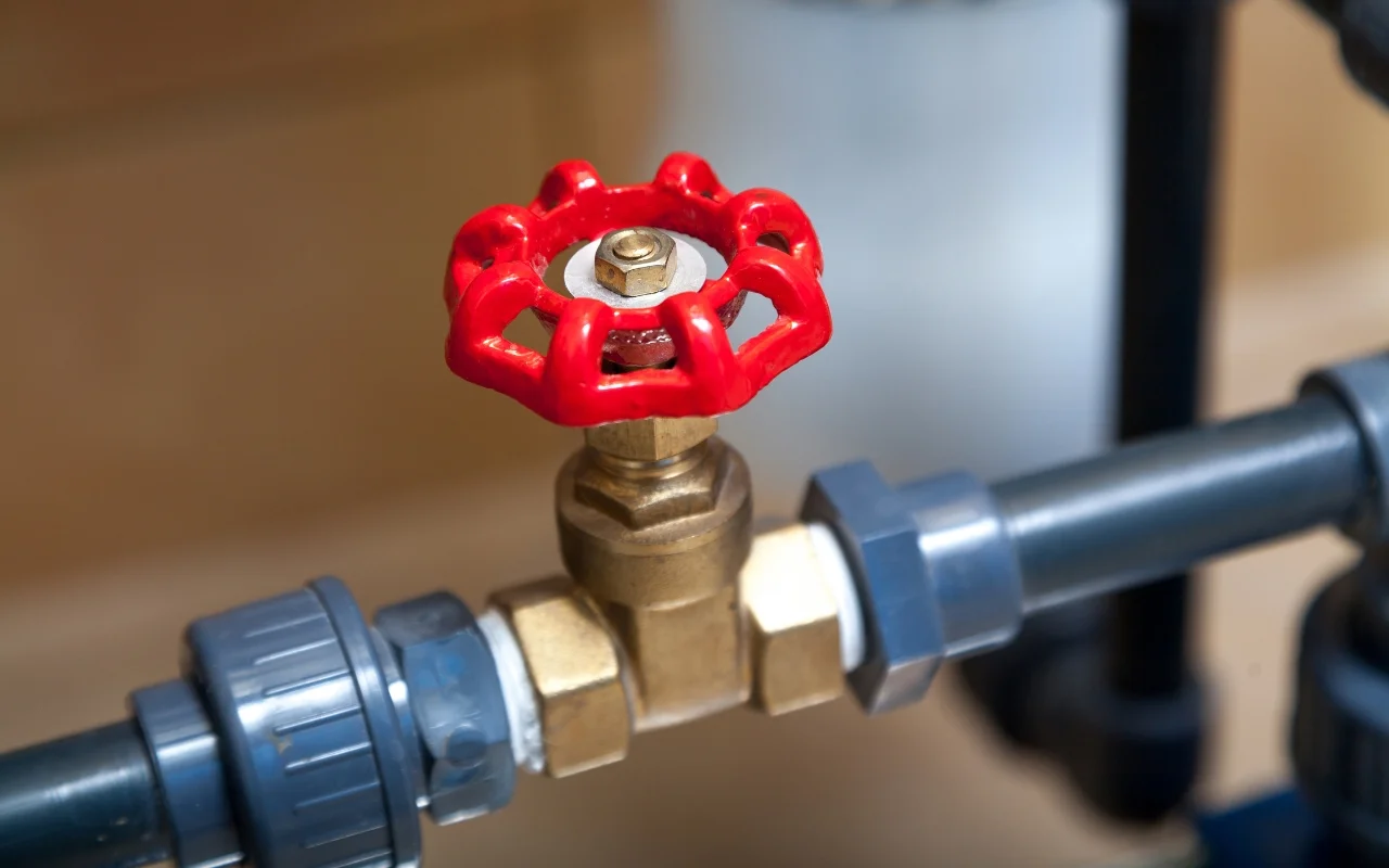 globe valve bocor